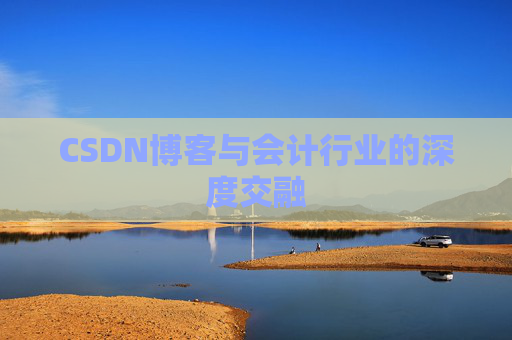 CSDN博客与会计行业的深度交融